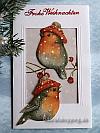 Christmas Craft Project - Christmas Card With Robins